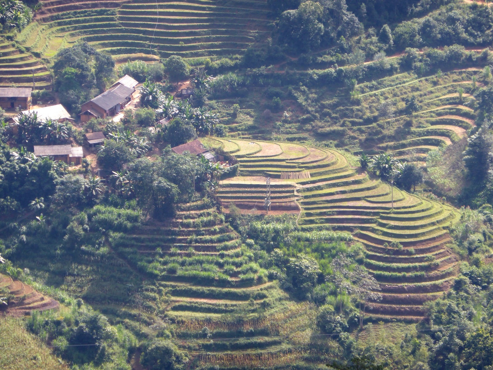 You are currently viewing Road-trip dans les rizières au Nord du Vietnam