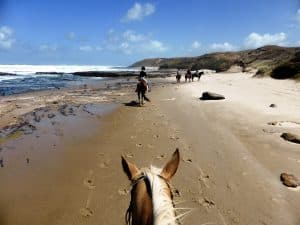 Horse riding trek-île du Nord