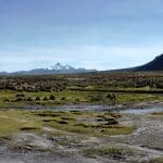 Parc de Sajama-Bolivie