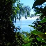 Balade jungle Ilha Grande-Brésil
